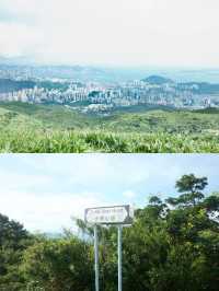 ⛰️香港一日行山天花板！大帽山+麥理浩徑8段神仙路線攻略！