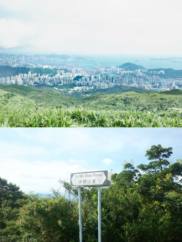 ⛰️香港一日行山天花板！大帽山+麥理浩徑8段神仙路線攻略！