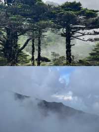 比玉龍雪山更仙！比峨嵋山更野！大理風花雪月終極攻略嚟啦！