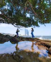 廈門旅遊｜住呢間酒店，集美學村 & 鼓浪嶼 玩到癲！  
寶貝們！嚟廈門想一站式打卡集美學村文藝風