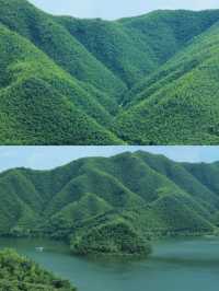 邊個話避世一定要去好遠？