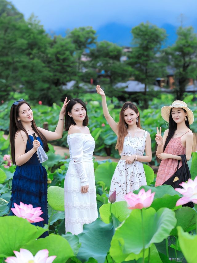 夏日普者黑：4萬畝荷花盛放的喀斯特仙境