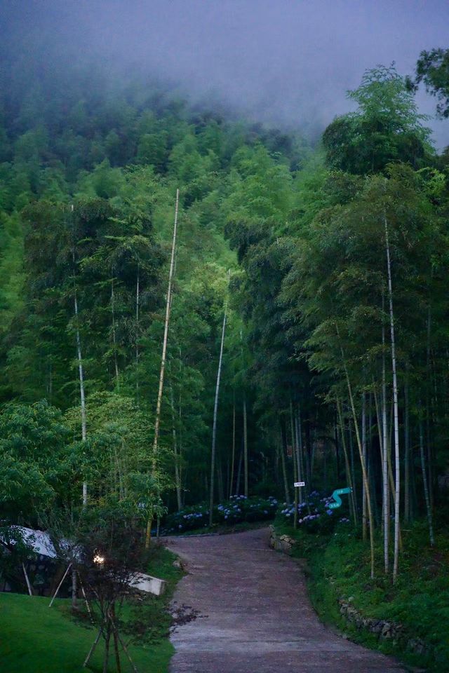 暑假嚟安吉保姆級攻略整理