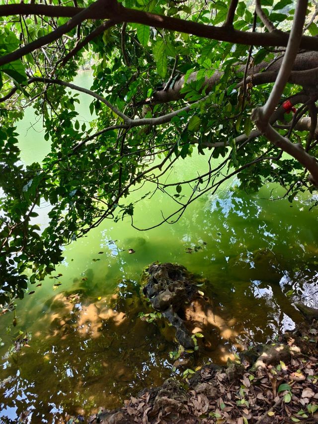 柳州龍潭公園影相避坑指南！避開人潮影出ins風大片