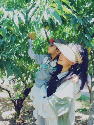 河源連平のインシェ桃の旅 地理的基準を満たす美食を探し求めて