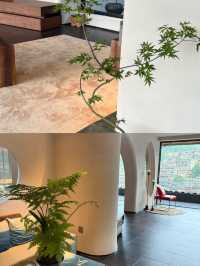 特意為了窗外的美景，來到西江千戶苗寨