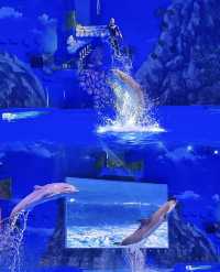 誤入海底三萬里 來場浪漫海底約會