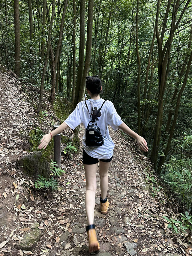義烏｜夏日避暑勝地|||徒步30min直達！ 藏喺山林入面嘅瀑布 瀑布下天然泳池透心涼，陽光透過樹