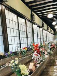 東京隱世名店！ひな鳥山炭火燒鳥流水送餐奇遇記】**  