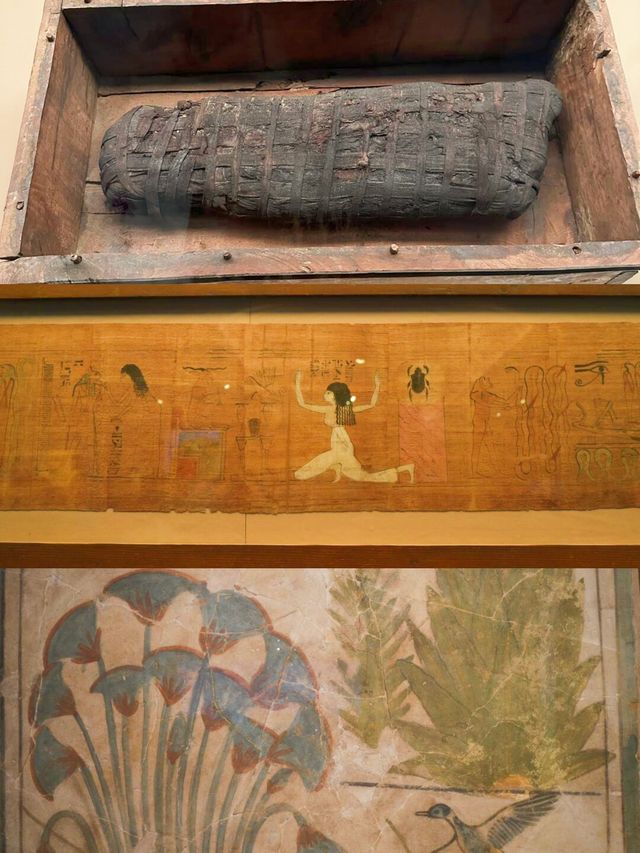 上海博物館衝呀，再唔嚟睇埃及展就要出國先有得睇