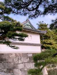 東京絕美秘境！皇居東御苑：穿越江戶時代的綠意時光隧道】**  