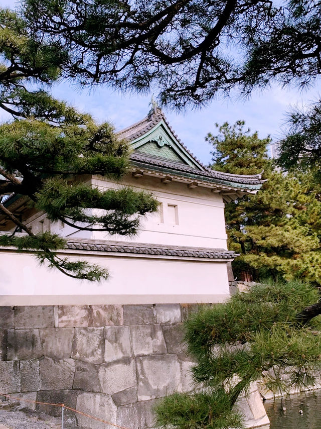 東京絕美秘境！皇居東御苑：穿越江戶時代的綠意時光隧道】**  