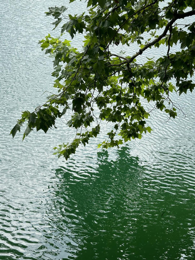 江西廬山旅遊攻略，新手必看