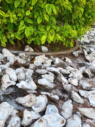 2h Zhanjiang Quick Check-in｜What Moves You Is Not the Scenery