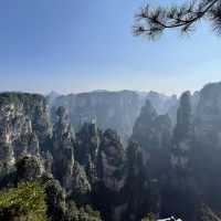 【中国 湖南省】世界遺産🌏 中国初の国家森林公園「張家界国家森林公園」✨🌲