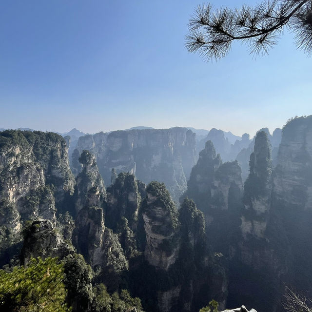 【中国 湖南省】世界遺産🌏 中国初の国家森林公園「張家界国家森林公園」✨🌲