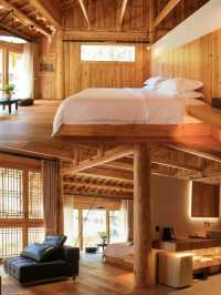 太哇塞了！第一次體驗智能木屋，野奢新體驗