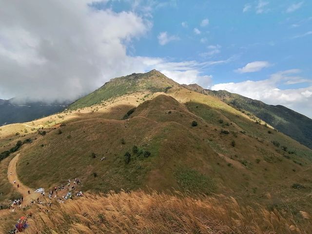 大南山最美高山草甸