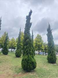 彌勒4日遊：從太平湖到東方韻，溫泉與紅酒的悠閒體驗