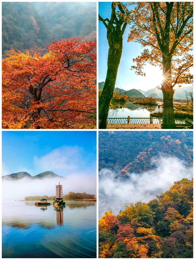 去了才知道！神農架的層林盡染有多震撼？
