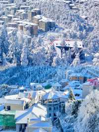 廬山霧淞雪景全攻略南方人也能get北國風光！