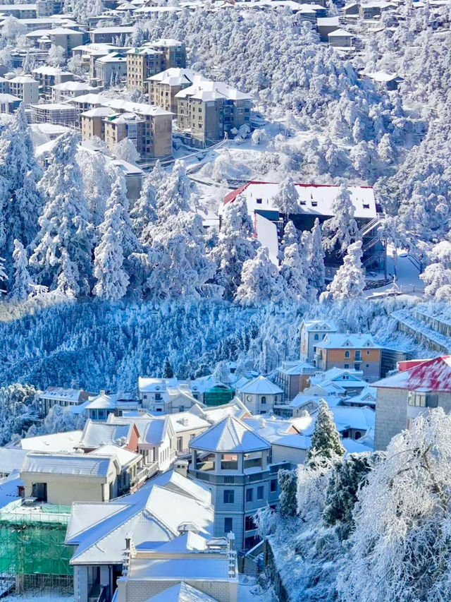 廬山霧淞雪景全攻略南方人也能get北國風光！