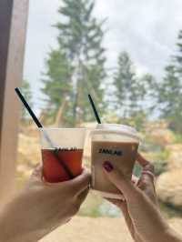 佛山綠洲🌵地中海荒野秘境咖啡店☕️