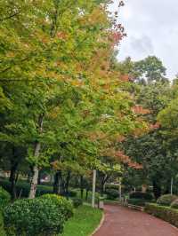 雨後仙境！昆明瀑布公園的秋日限定風景