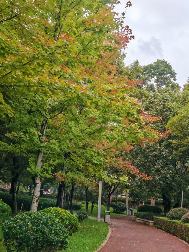 雨後仙境！昆明瀑布公園的秋日限定風景
