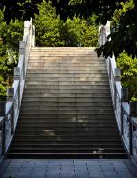 深圳荔枝公園必打卡指南