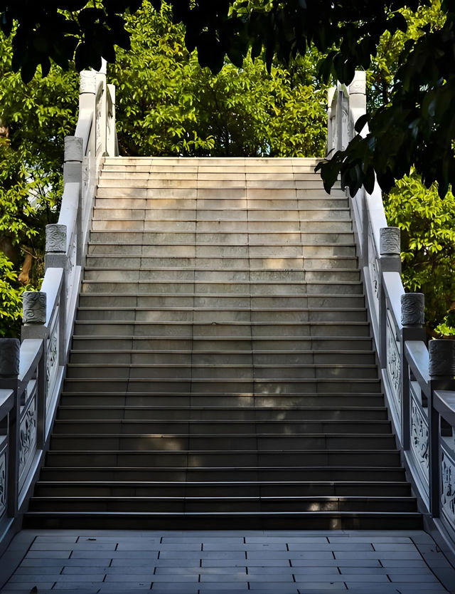深圳荔枝公園必打卡指南