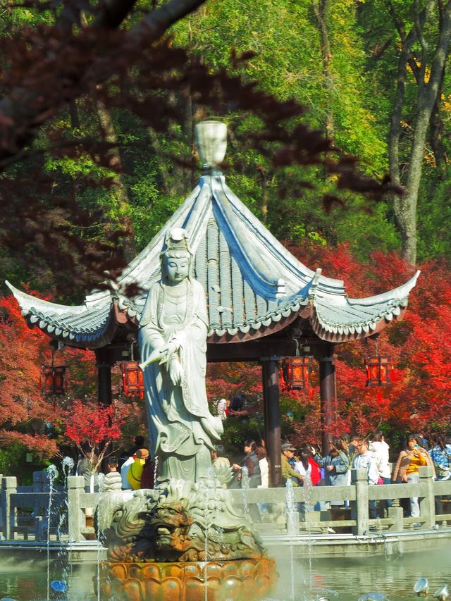 你鏡頭裡的南京秋天，還差這些地方
