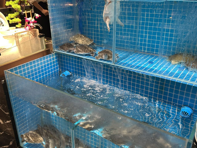 🦞 頂界海鮮｜浮誇但實在的自助火鍋體驗