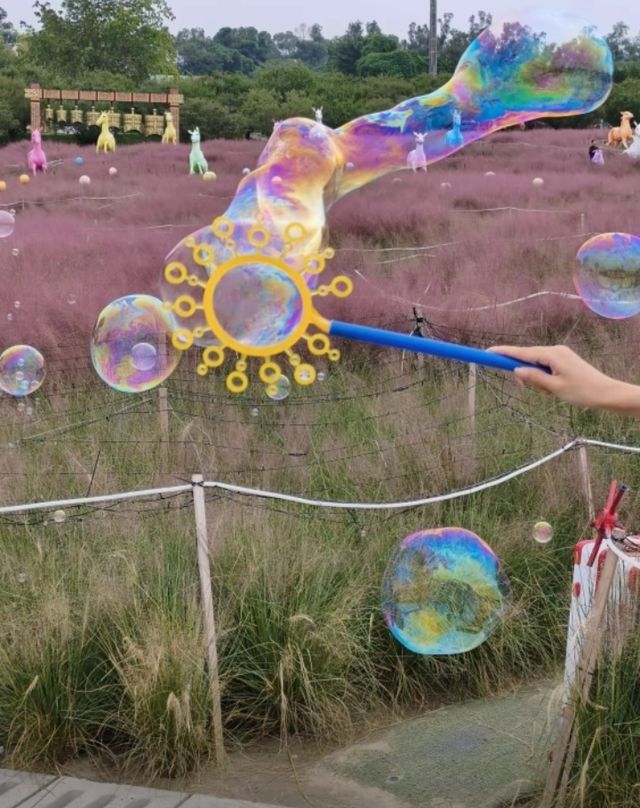 音樂百花谷：邂逅花海萌寵，共赴夜場夢幻之約