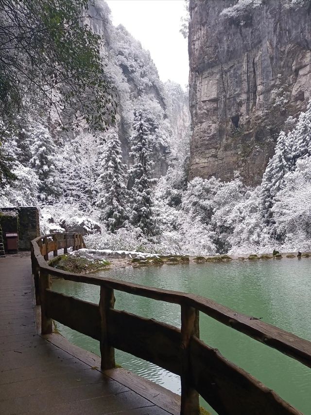 重慶下雪了！衝！仙女山2日遊保姆級攻略！
