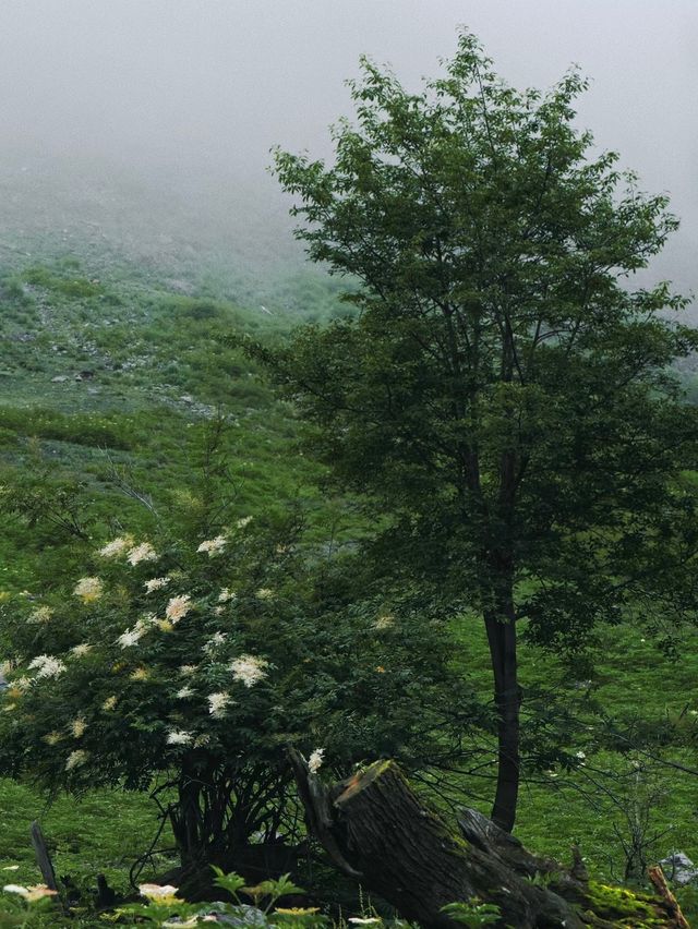 救命！雨崩徒步才是天花板3天2夜美到甘願暴走1萬布