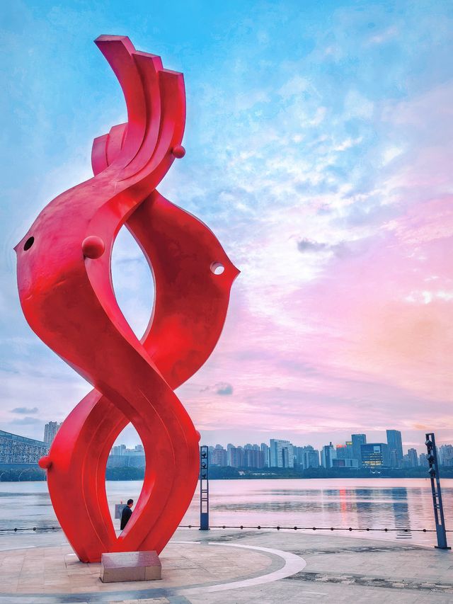 合肥天鵝湖｜暮色時分邂逅城市浪漫天際線