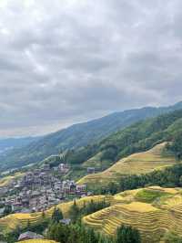 桂林｜龍脊梯田闖入上帝調色盤！11月限定金黃稻浪攻略