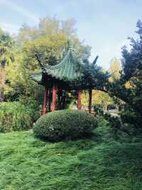 探秘上海華東師範大學普陀校區，邂逅百年學府的詩意與浪漫！