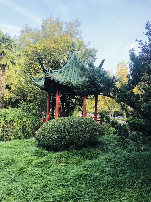 探秘上海華東師範大學普陀校區，邂逅百年學府的詩意與浪漫！