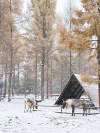 10.19實拍!!長白山下雪美哭了!!