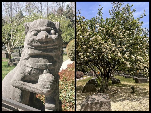 秦淮佳境中的幾何美學 — 看南京故宮遺址 秦淮佳境中的幾何美學 — 看南京故宮遺址