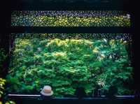 晚清第一園|此名號何園是否當得起