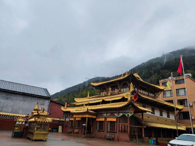 雨中探秘川主寺｜金色屋頂下的古韻禪意｜Trip.com 松潘