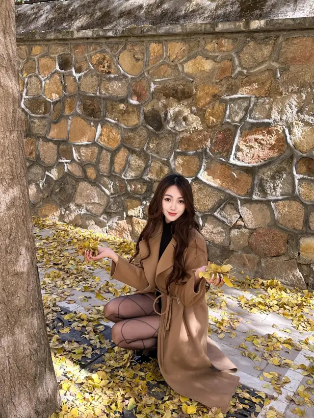 北京圓明園秋日漫步｜誤入人間仙境