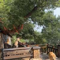 古鎮裡的時光隧道