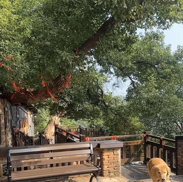 古鎮裡的時光隧道 古鎮裡的時光隧道