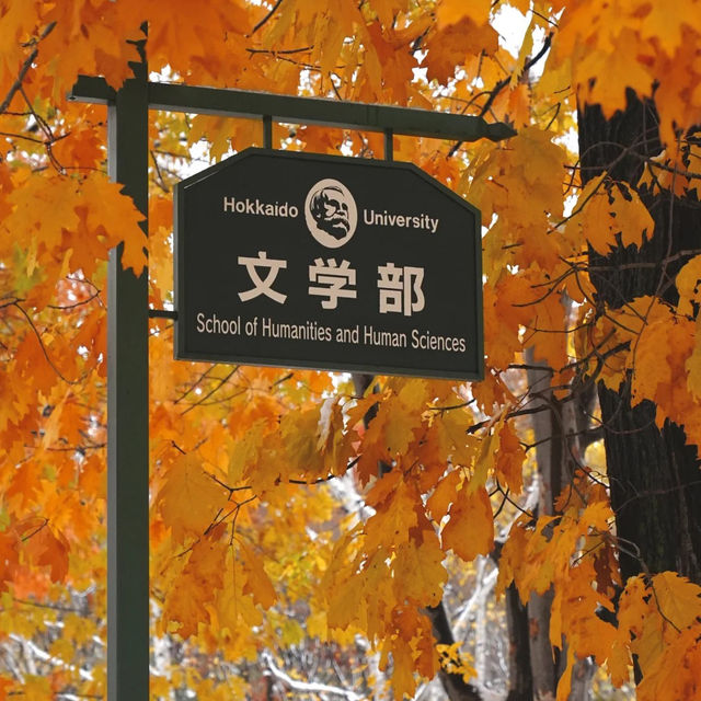 🇯🇵 삿포로에서 만난 기적의 5일: 가을과 겨울이 동시에 🤯