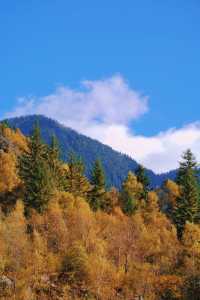 接下來的川西小九寨！堪稱秋天旅行天花板.. 限時1個月！！川西小九寨「松坪溝」秋色巔峰期來了！ 