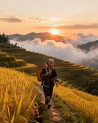 11月廣東必衝!4個零踩雷賞秋地